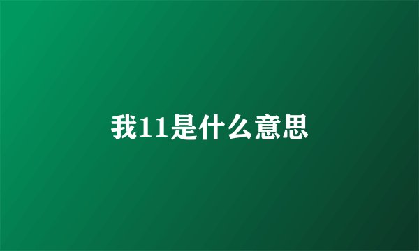 我11是什么意思