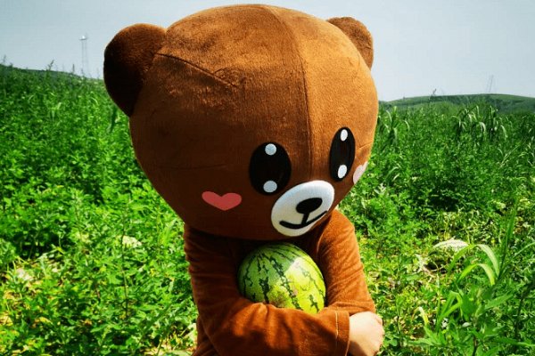 小熊西瓜气球小鸟怎样编一个完整的故事