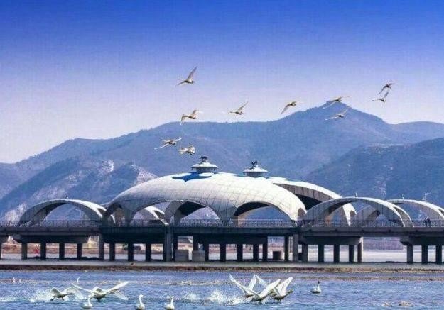 喀左教育局电话多少