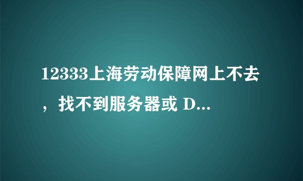 12333上海劳动保障网上不去，找不到服务器或 DNS 错误