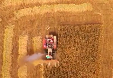 卫星见证奔跑的“三夏”，丰收的喜悦源于什么？