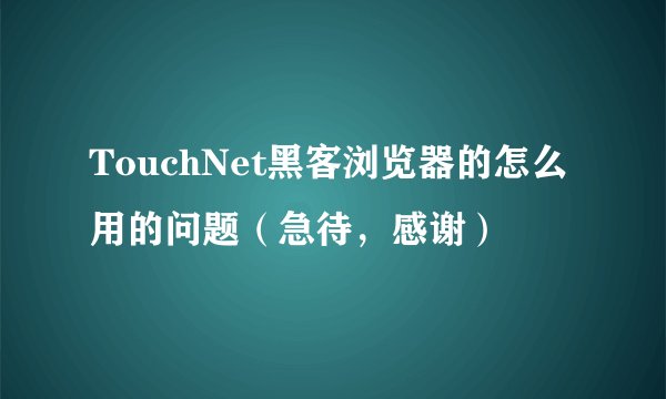 TouchNet黑客浏览器的怎么用的问题（急待，感谢）