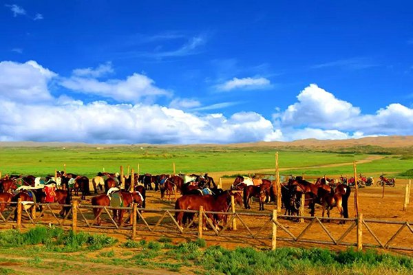 阿拉善是什么意思?