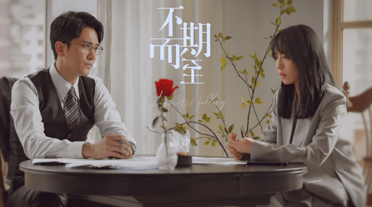 彭冠英演的全部电视剧