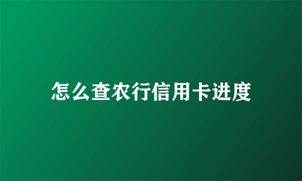 怎么查农行信用卡进度