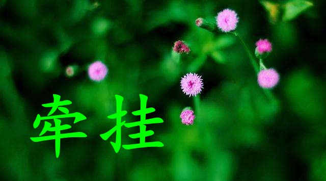 牵挂、挂念、惦念的区别是什么啊？?