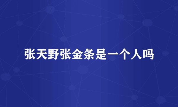 张天野张金条是一个人吗