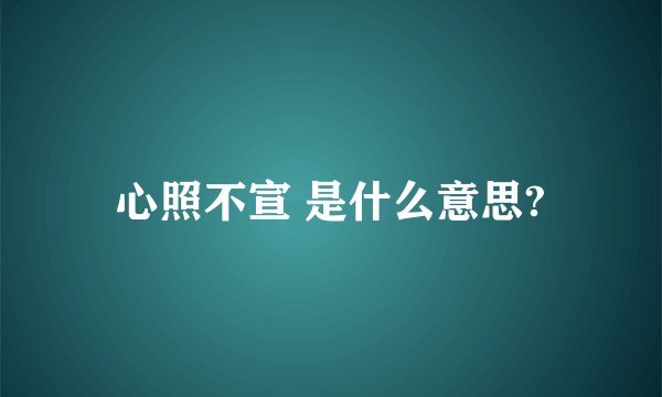心照不宣 是什么意思?