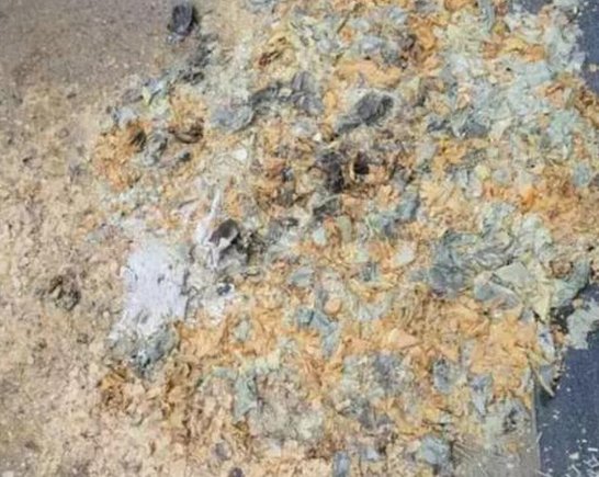 杭州多名市民烧纸钱铅中毒是怎么回事？