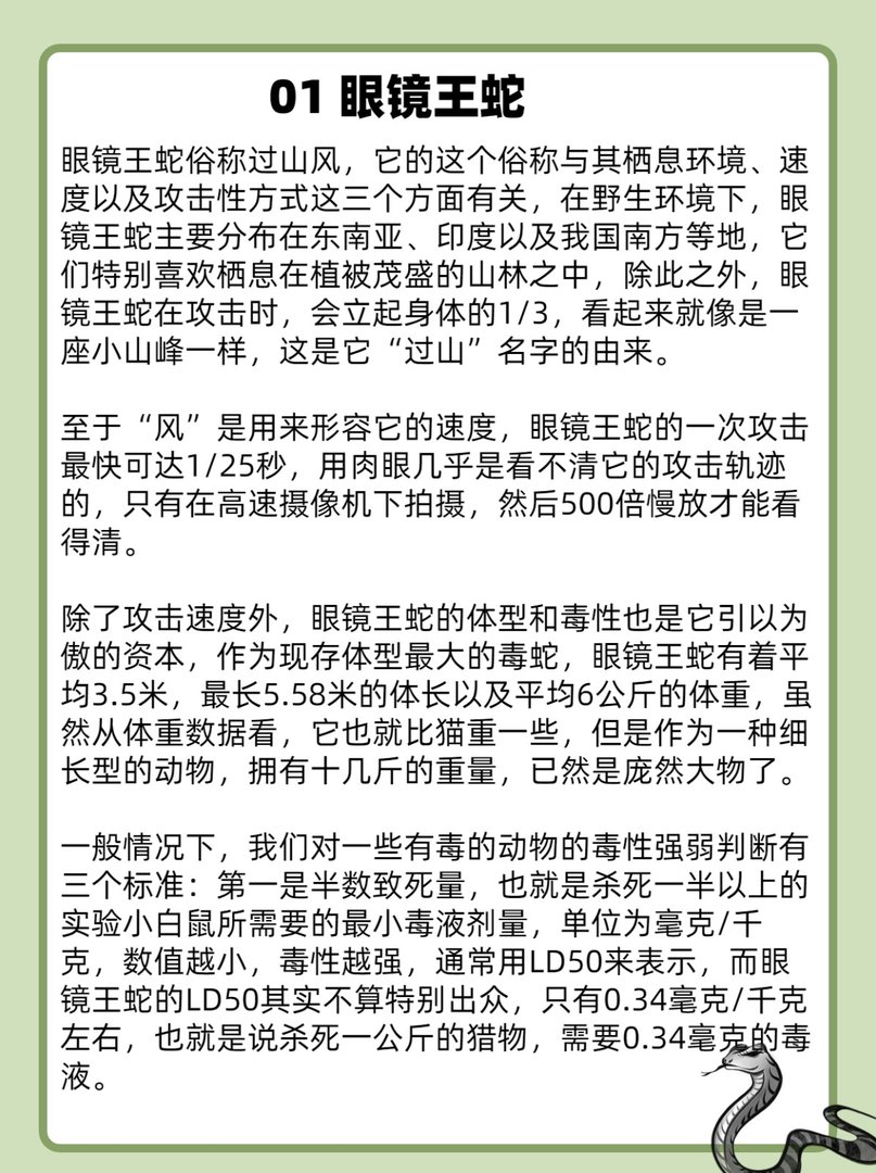 眼镜王蛇单挑科莫多巨蜥谁是最强爬行动物