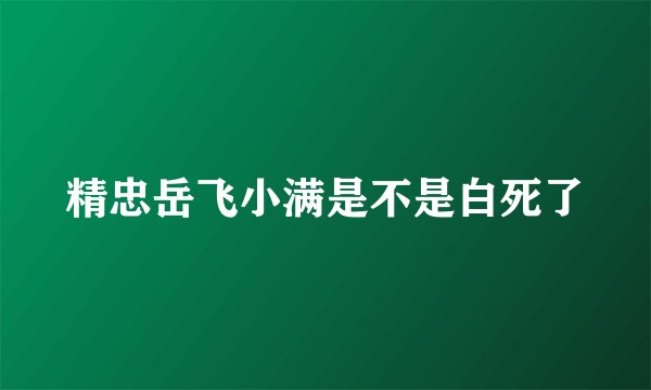 精忠岳飞小满是不是白死了