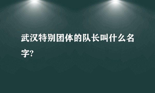 武汉特别团体的队长叫什么名字?