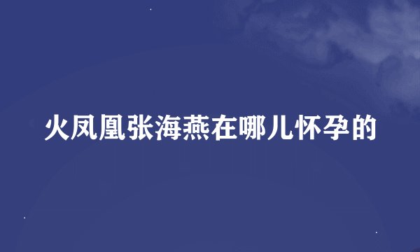 火凤凰张海燕在哪儿怀孕的