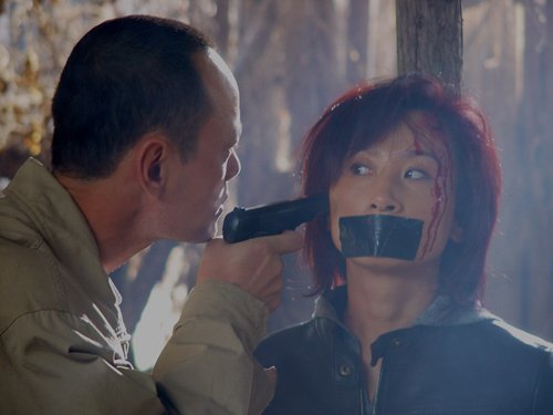 鉴证英雄的分集剧情