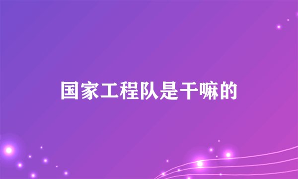 国家工程队是干嘛的