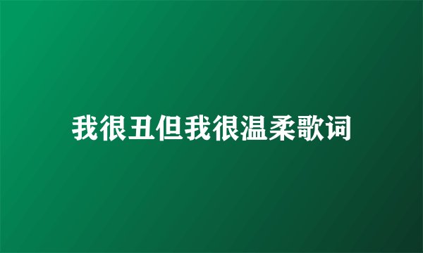 我很丑但我很温柔歌词