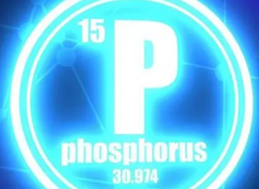 大量元素有哪些