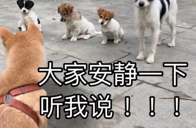 女生对你说略略略是什么意思？