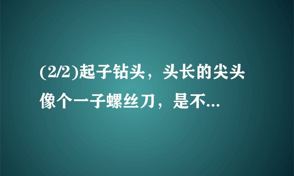(2/2)起子钻头，头长的尖头像个一子螺丝刀，是不是叫螺丝刀钻头。真诚请懂行人士解答。问的太多了，希...