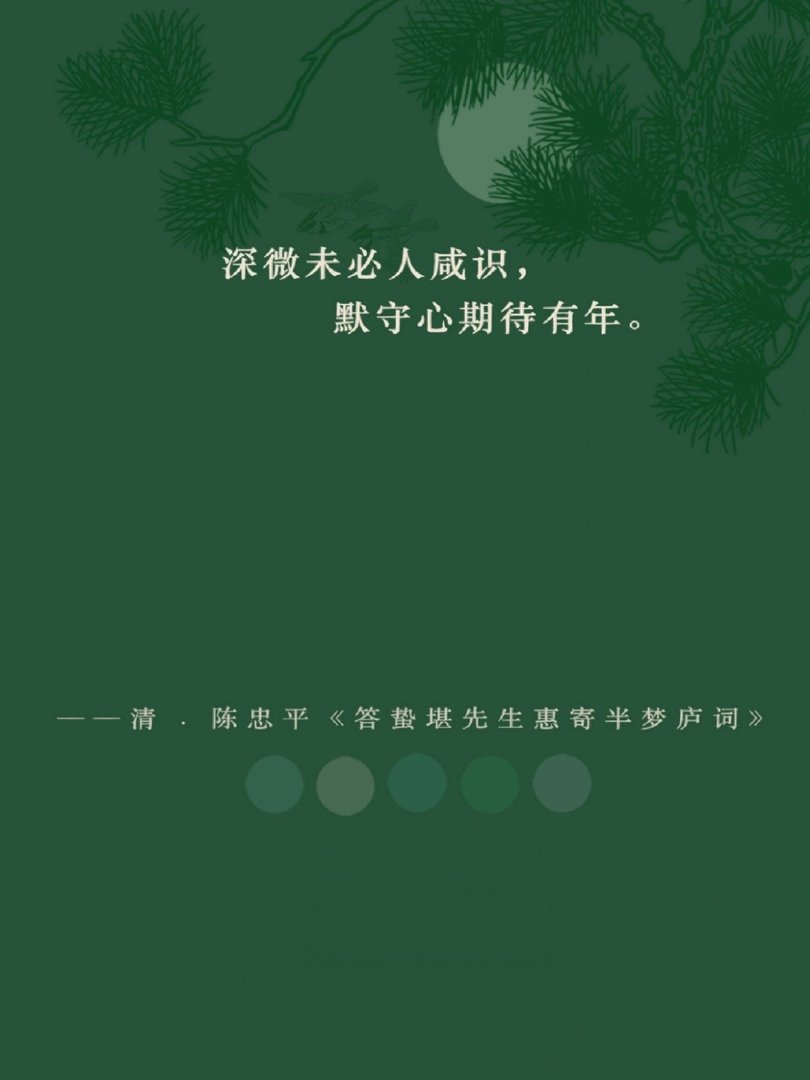 长风吹月来，清影落半池。