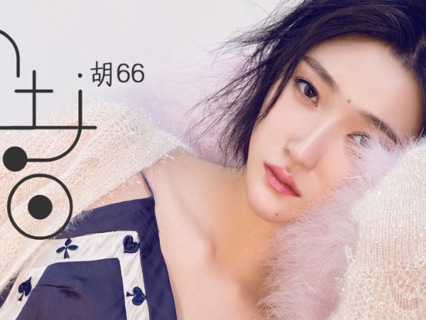 胡66个人资料简介