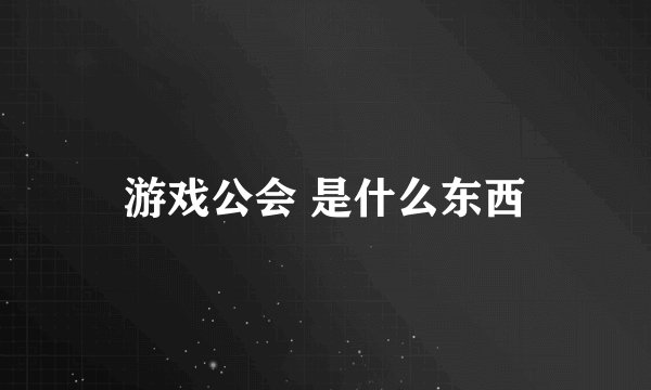 游戏公会 是什么东西