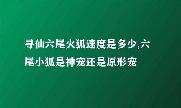 寻仙六尾火狐速度是多少,六尾小狐是神宠还是原形宠