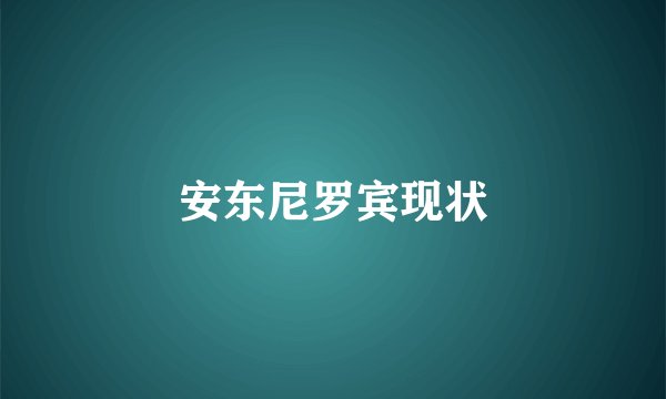 安东尼罗宾现状