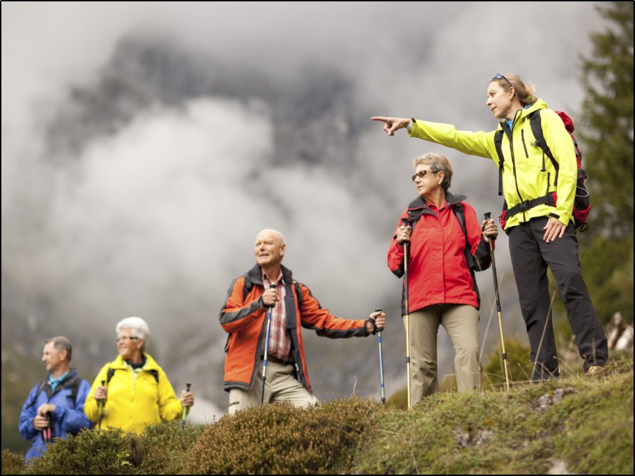 适合老年人旅游的旅行社