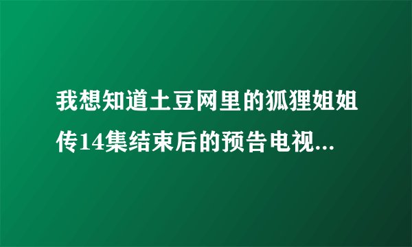 我想知道土豆网里的狐狸姐姐传14集结束后的预告电视剧是什么啊，好像很好看，是新出的韩国古装片