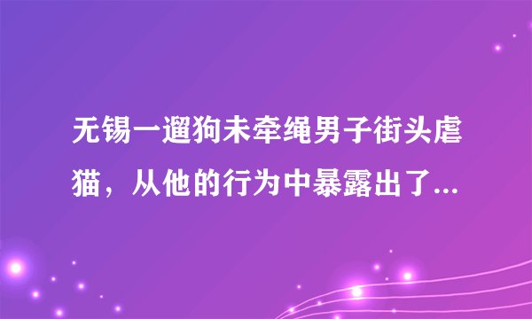 无锡一遛狗未牵绳男子街头虐猫，从他的行为中暴露出了哪些人品问题？