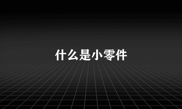 什么是小零件