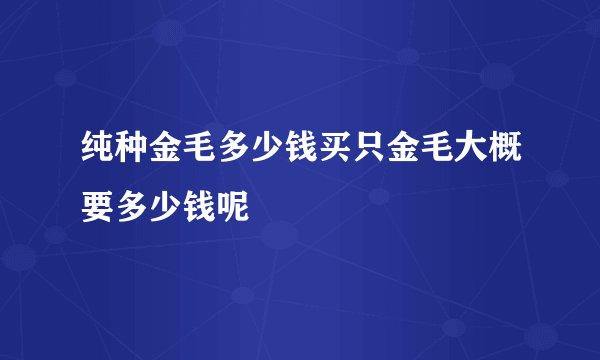 纯种金毛多少钱买只金毛大概要多少钱呢