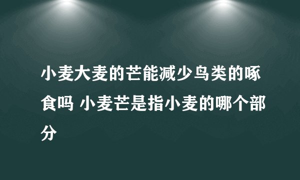 小麦大麦的芒能减少鸟类的啄食吗 小麦芒是指小麦的哪个部分