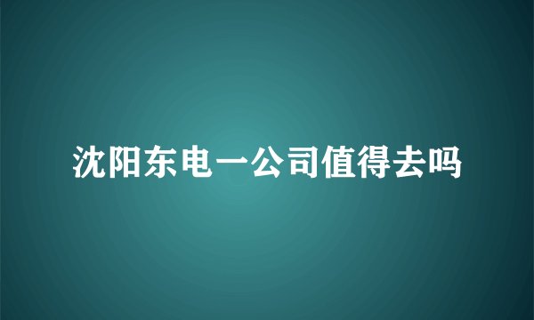沈阳东电一公司值得去吗