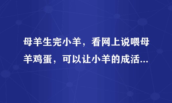 母羊生完小羊，看网上说喂母羊鸡蛋，可以让小羊的成活率高，而且相比不喂鸡蛋的的小羊而言。