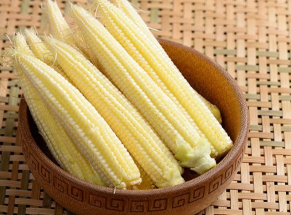 玉米笋是没长大的玉米吗