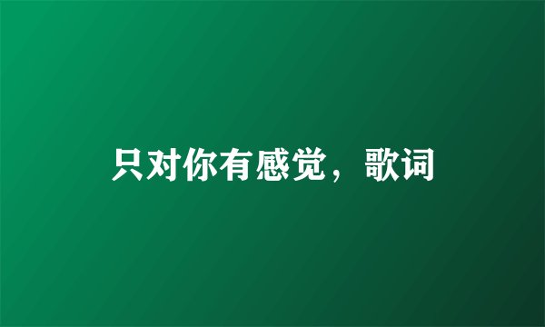 只对你有感觉，歌词