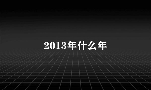 2013年什么年