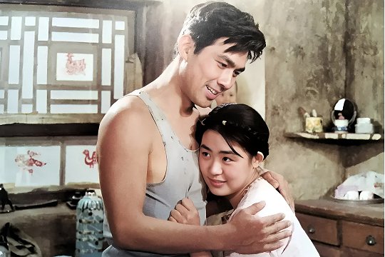谢晋导演的作品有哪些