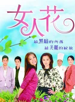 女人花台湾共多少集