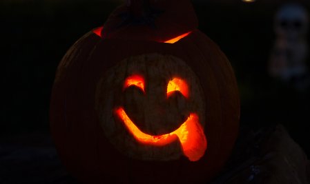 惊骇的意思拼音