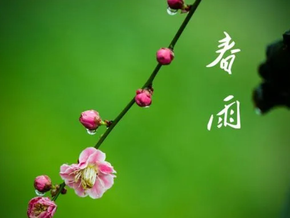《春雨》艾青最后一句