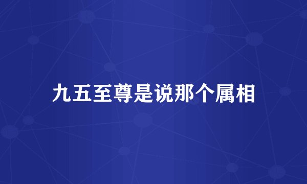 九五至尊是说那个属相
