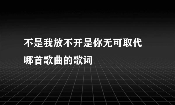 不是我放不开是你无可取代 哪首歌曲的歌词