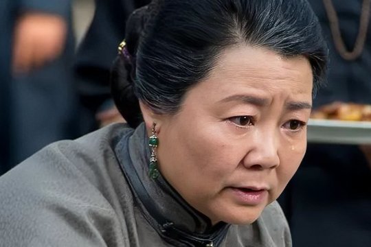 萨日娜主演的电视剧全部