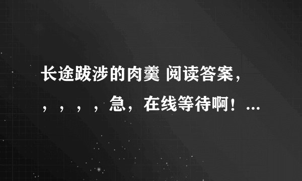 长途跋涉的肉羹 阅读答案，，，，，急，在线等待啊！！！！！！！
