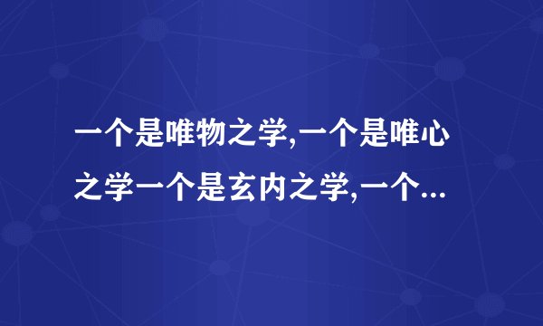 一个是唯物之学,一个是唯心之学一个是玄内之学,一个是玄外之学。是什么意思？