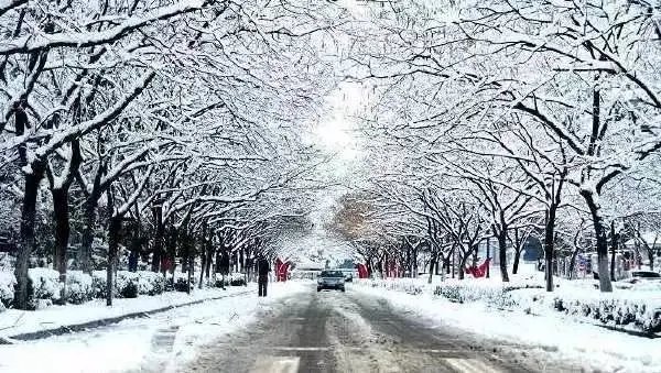 南京的雪不是“一骗再骗”，未来将会有几级大暴雪？