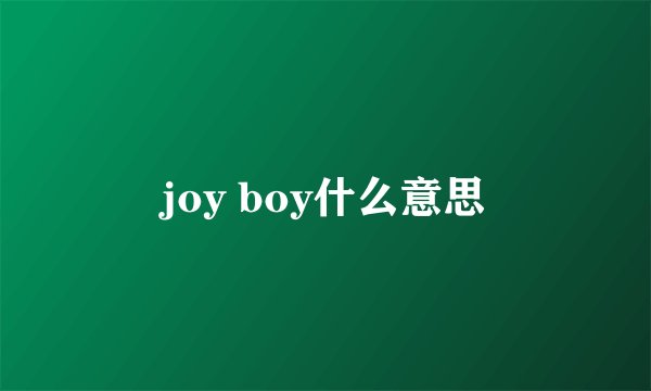 joy boy什么意思